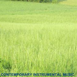 Contemporary Instrumental Music