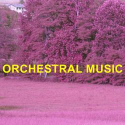 Orchestral Music