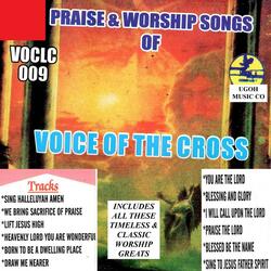 Medley 1: Sing Alleluyah Amen / We Bring Sacrifice of Praise / Lift Jesus Higher / Heavenly Lord / Born to Dwell /Draw Me Nearer