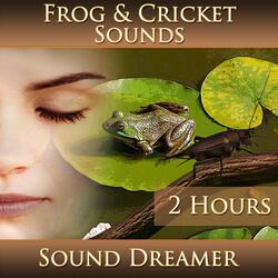 Frog and Cricket Sounds (2 Hours)