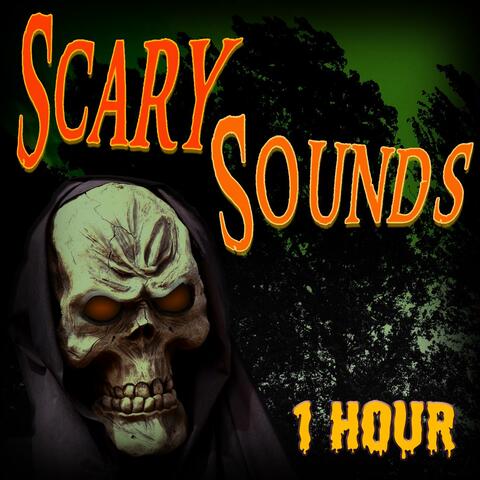 Scary Sounds - 1 Hour