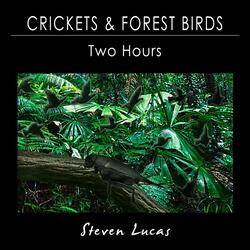 Crickets and Forest Birds - Two Hours