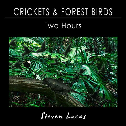 Crickets and Forest Birds - Two Hours