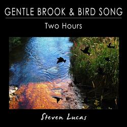Gentle Brook and Bird Song - Two Hours