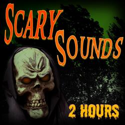 Scary Sounds - 2 Hours