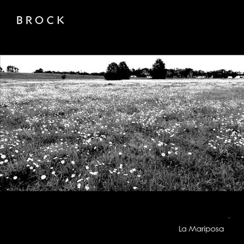 B R O C K