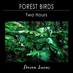 Forest Birds - Two Hours