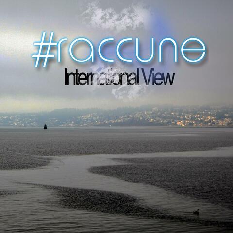 International View