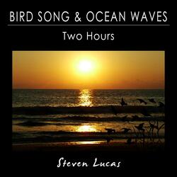Bird Song and Ocean Waves - Two Hours