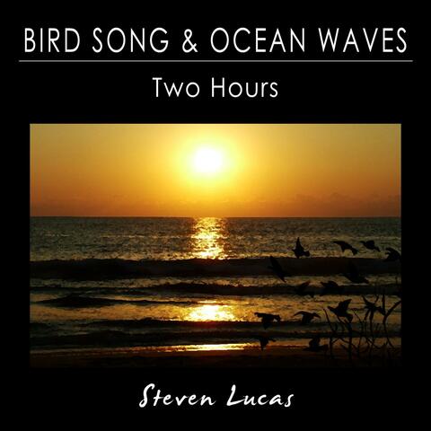 Bird Song and Ocean Waves - Two Hours