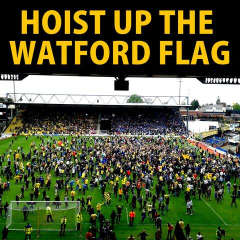 Hoist Up The Watford Flag