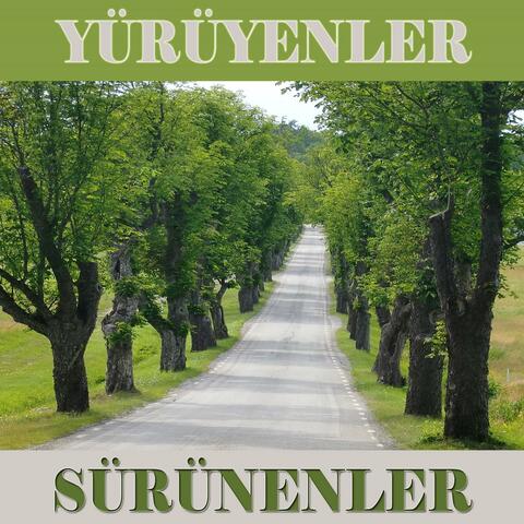 Yürüyenler ve Sürünenler