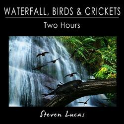 Waterfall, Birds and Crickets - Two Hours