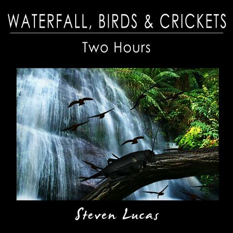 Waterfall, Birds and Crickets - Two Hours
