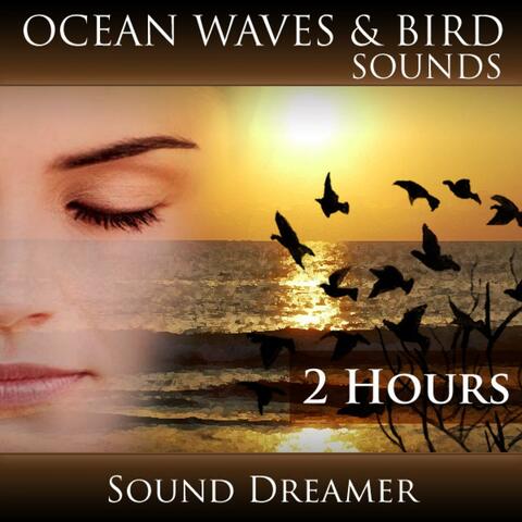 Ocean Waves and Bird Sounds (2 Hours)