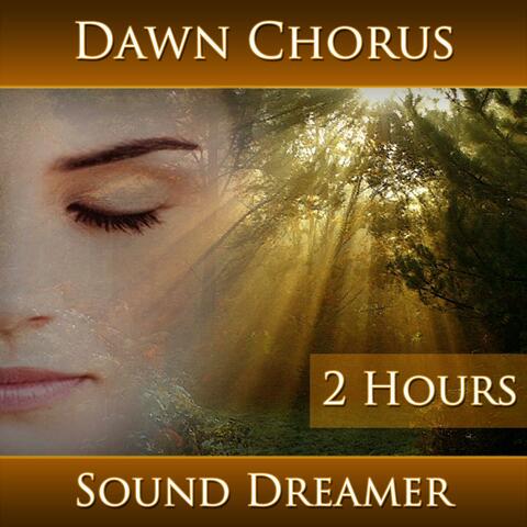 Dawn Chorus (2 Hours)