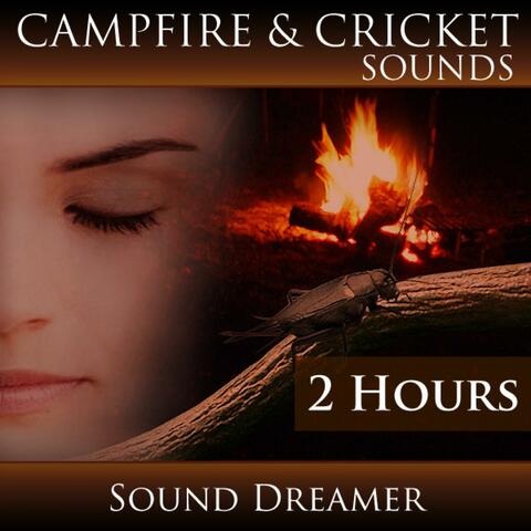 Campfire and Cricket Sounds (2 Hours)