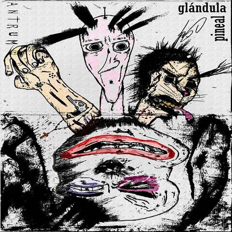 Glandula Pineal