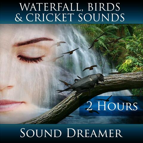Waterfall, Birds and Cricket Sounds (2 Hours)
