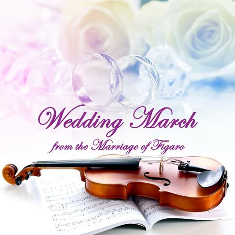 Wedding March from the Marriage of Figaro Strings