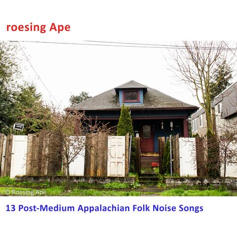 13 Post-Medium Appalachian Folk Noise Songs