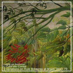 Variation in D Major, WoO. 79: 3. Variation 2