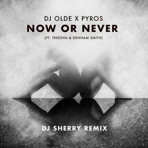 Now or Never (feat. Treesha & Denham Smith) [DJ Sherry Remix]