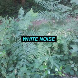 Sleep Noise