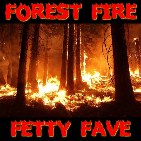 Forest Fire