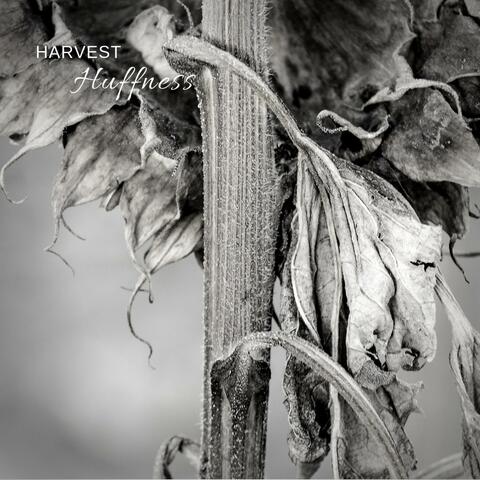 Harvest