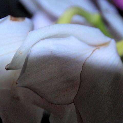Upend