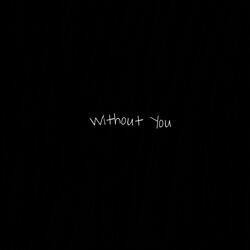 Without You