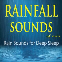 Afternoon Rain Shower (White Noise Rain Sounds)