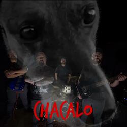 Chacalo