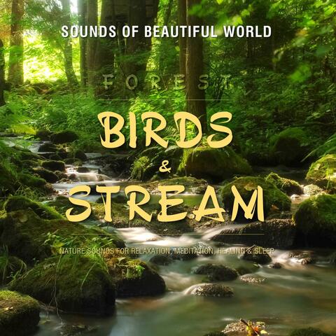 Forest: Birds & Stream (Nature Sounds for Relaxation Meditation Healing & Sleep)