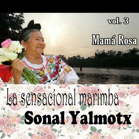 Mamá Rosa Vol. 3