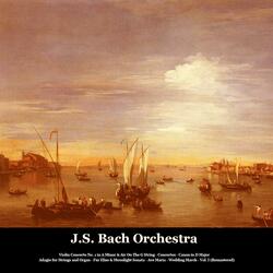 Guitar Concerto in D Major, Rv 93: II. Largo