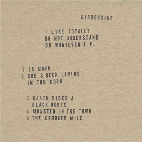 I Like Totally Do Not Understand Or Whatever EP