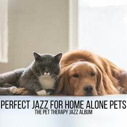 Jazz to Calm Anxious Dogs