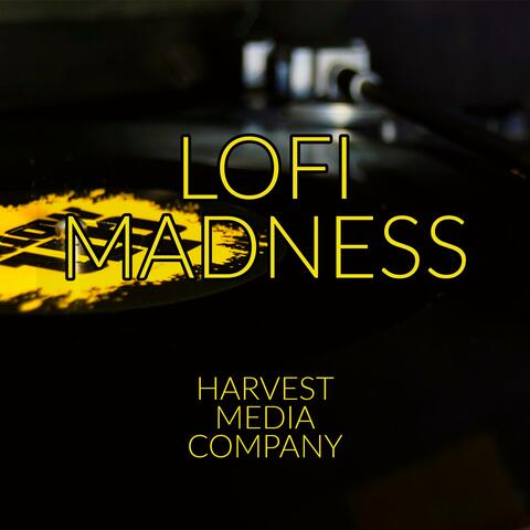 Lofi Madness