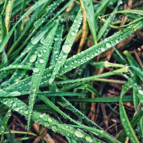 Gentle Rain on Grass for Relaxation, Deep Sleep, Insomnia, Meditation and Study