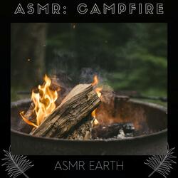 ASMR: Campfire on the Beach