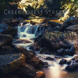 Creek Forest Stream for Relaxation, Deep Sleep, Insomnia, Meditation and Study