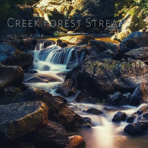 Creek Forest Stream for Relaxation, Deep Sleep, Insomnia, Meditation and Study