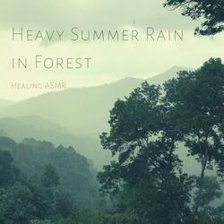 Heavy Summer Rain with Thunder in Forest for Relaxation, Deep Sleep, Insomnia, Meditation and Study