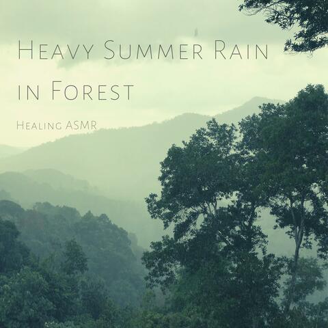 Heavy Summer Rain with Thunder in Forest for Relaxation, Deep Sleep, Insomnia, Meditation and Study