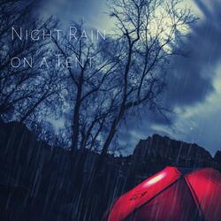 Night Rain on a Tent for Relaxation, Deep Sleep, Insomnia, Meditation and Study