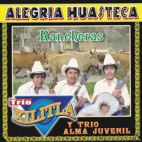 Alegría Huasteca: No Volvere