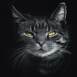 Classic 40s Bebop Jazz for Cool Cats