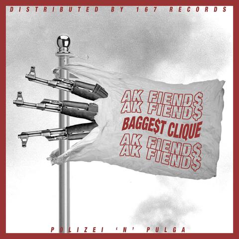 Baggest Clique